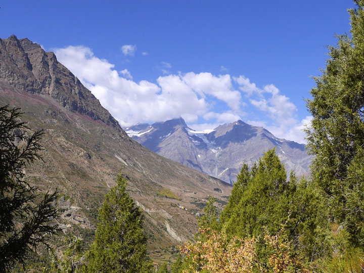View across Bhaga Valley amid pine trees on trail to Tayul Monastery, Lahaul, India