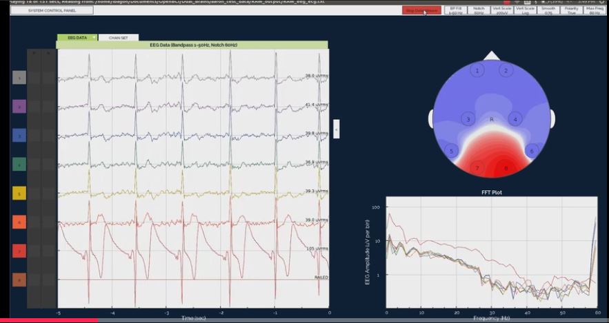 OpenBCI screen capture of GUI