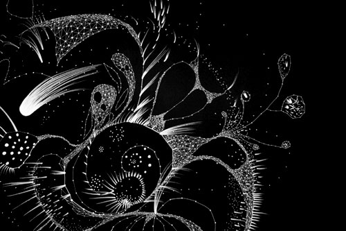 Artist / Experimental Filmmaker Eva Lee, Louisiana Art & Science Museum,