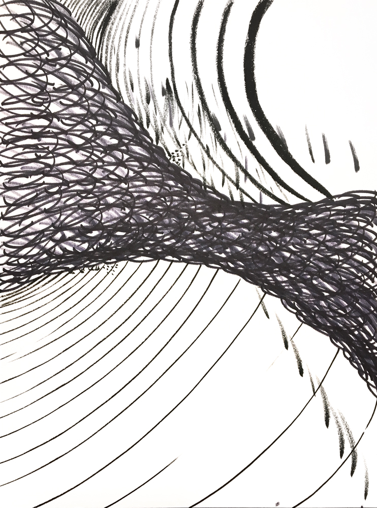 Artist Eva Lee Brush & Ink drawing