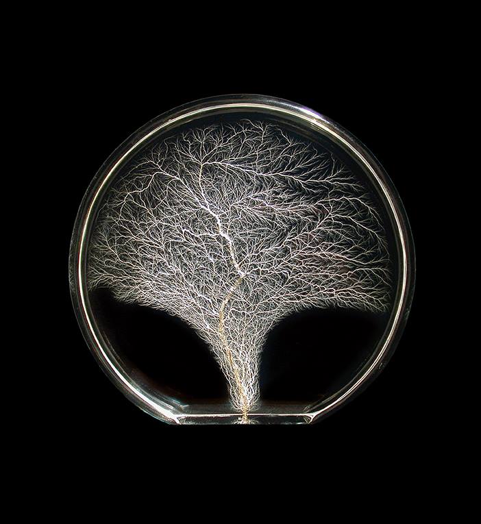 Alyce Simon Tree of Life