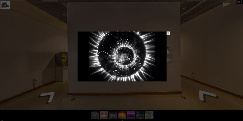Eva Lee. Winters Veil, single-channel digital video, 07:10, silent.